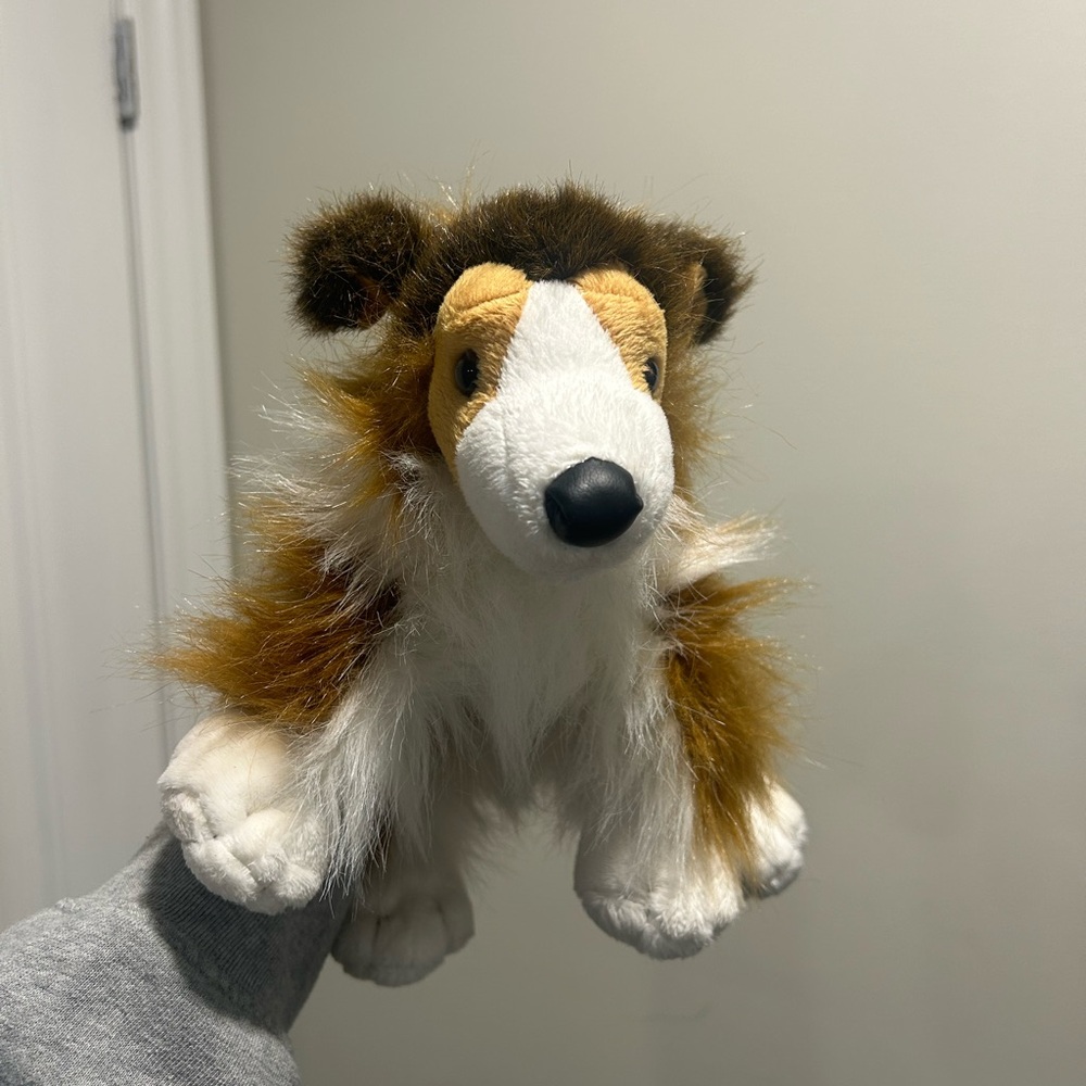 Webkinz border collie